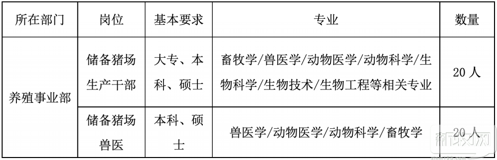 “搶人”大戰爆發！豬場場長跟熊貓一樣稀少