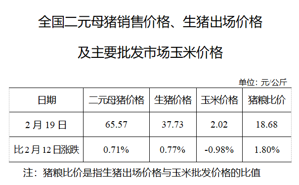 生豬數(shù)據(jù)：        全國(guó)二元母豬銷售價(jià)格、生豬出場(chǎng)價(jià)格及主要批發(fā)市場(chǎng)玉米價(jià)格（2月21日）