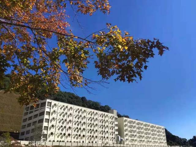 2020年傲農生物部分在運營及在建養豬場項目盤點