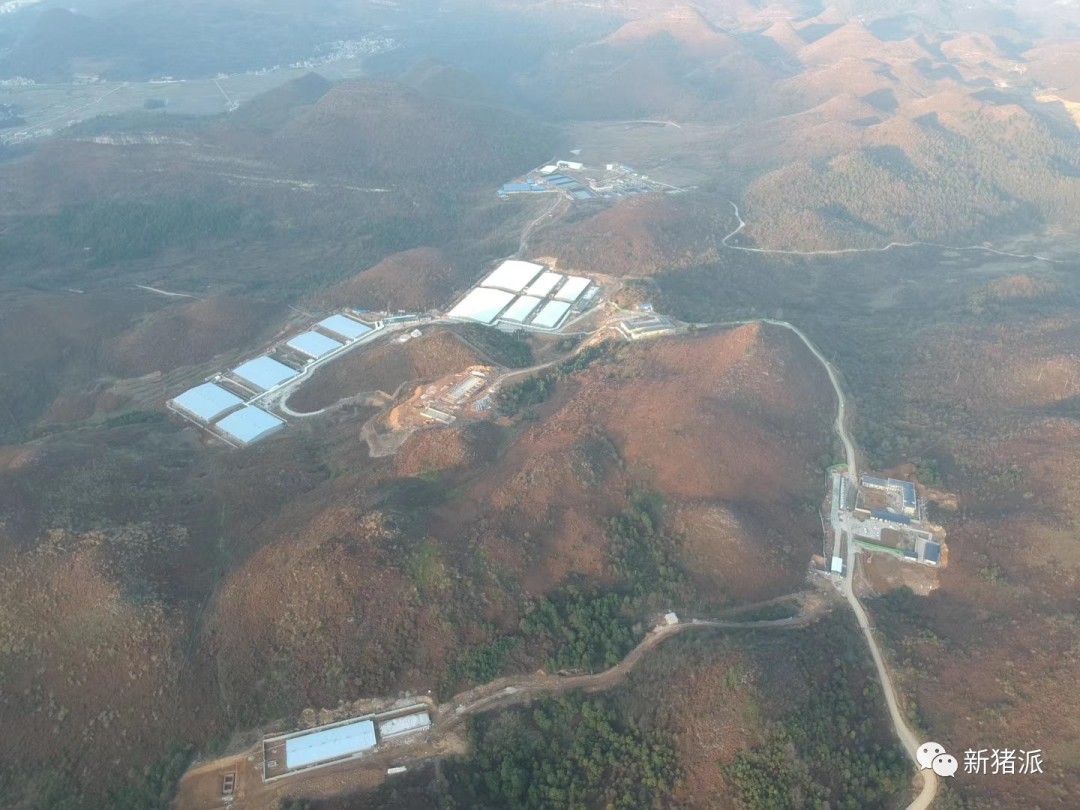 新建萬頭原種場、80億布局全產業鏈！“無老板”的力源集團締造持續66年盈利神話