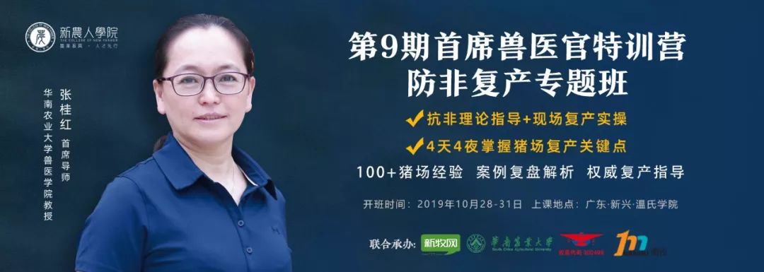 非瘟持久戰，行業大洗牌！豬業復興，他們是中堅力量